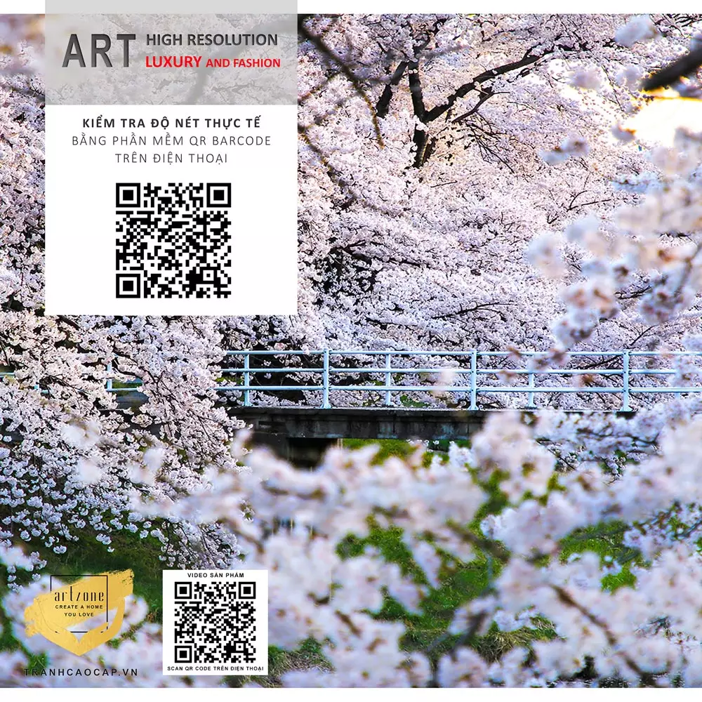 Nội dung Tranh Canvas phong cảnh Mùa hoa anh đào Nhật Bản nở rộ