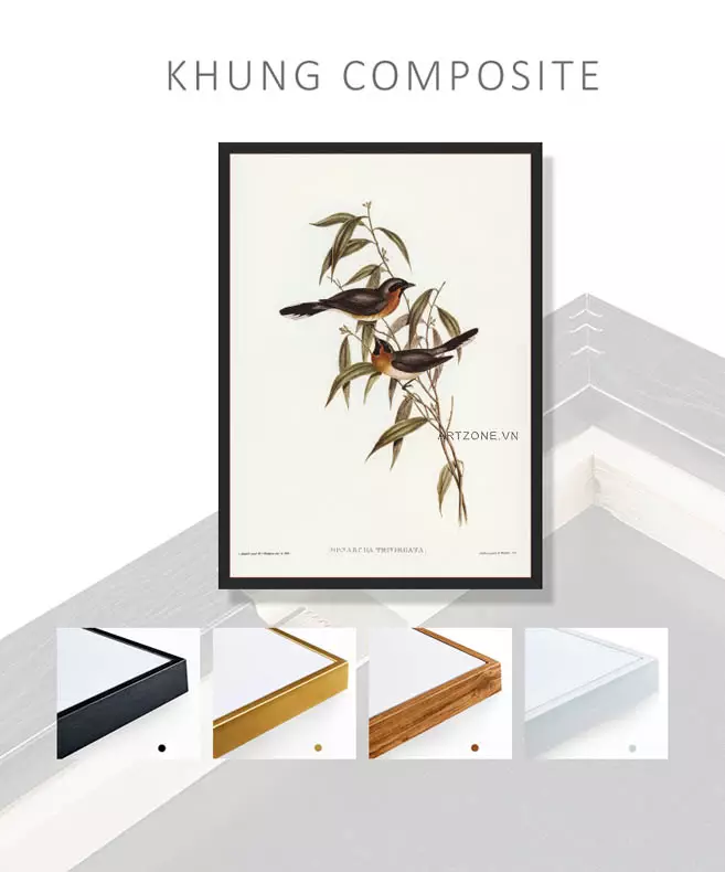 Chi tiết tinh xảo trong tranh chim Fronted Flycatcher