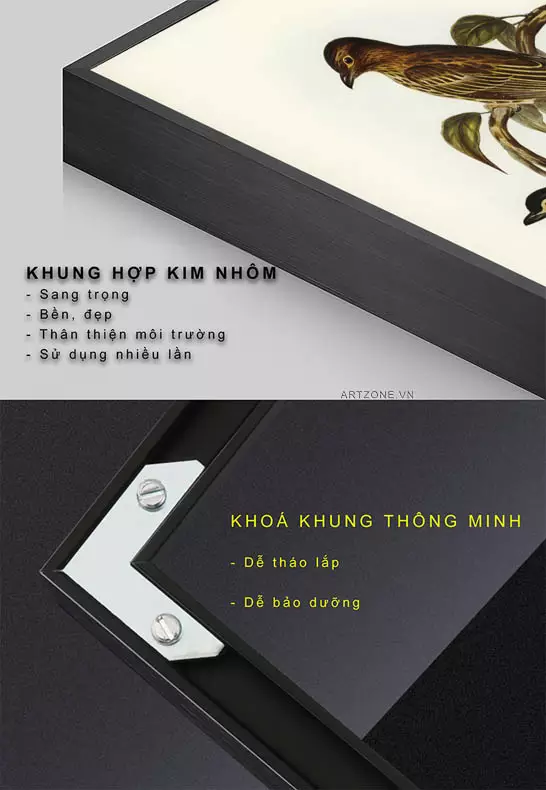 Tranh chim Sphecotheres - Điểm nhấn hoàn hảo cho phòng khách Tranh động vật cao cấp AZ1-0208-MICA trang trí phòng khách