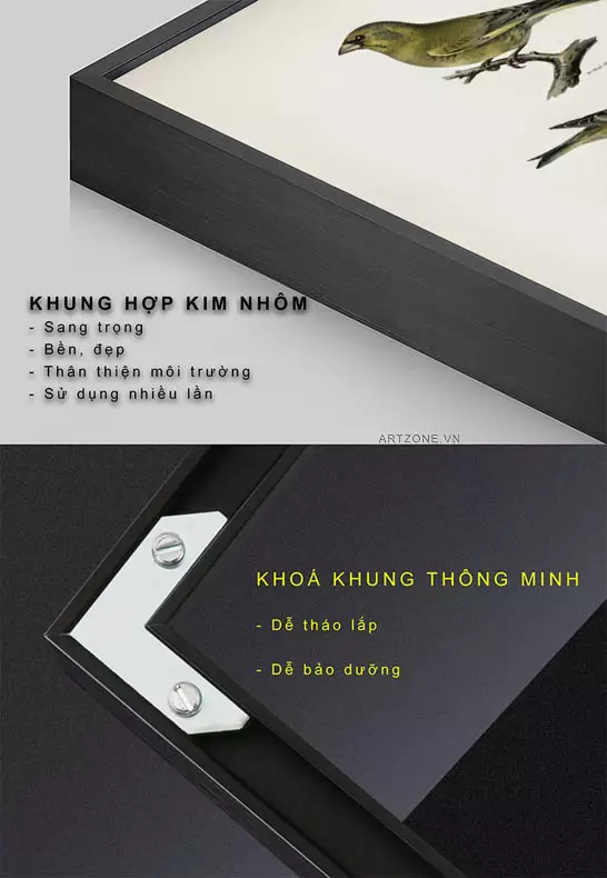 Giải pháp treo tranh Chim Chloris trong phòng khách