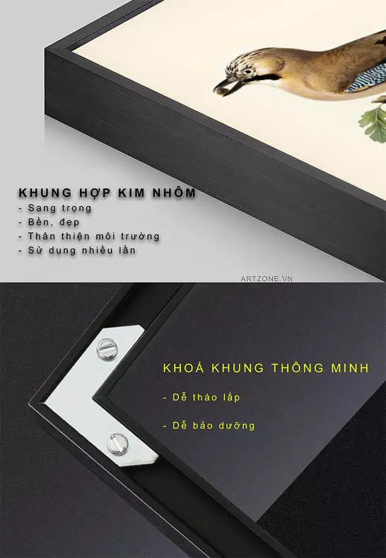 Tranh Mica chim Jay Garrulus glandarius trong không gian phòng ăn