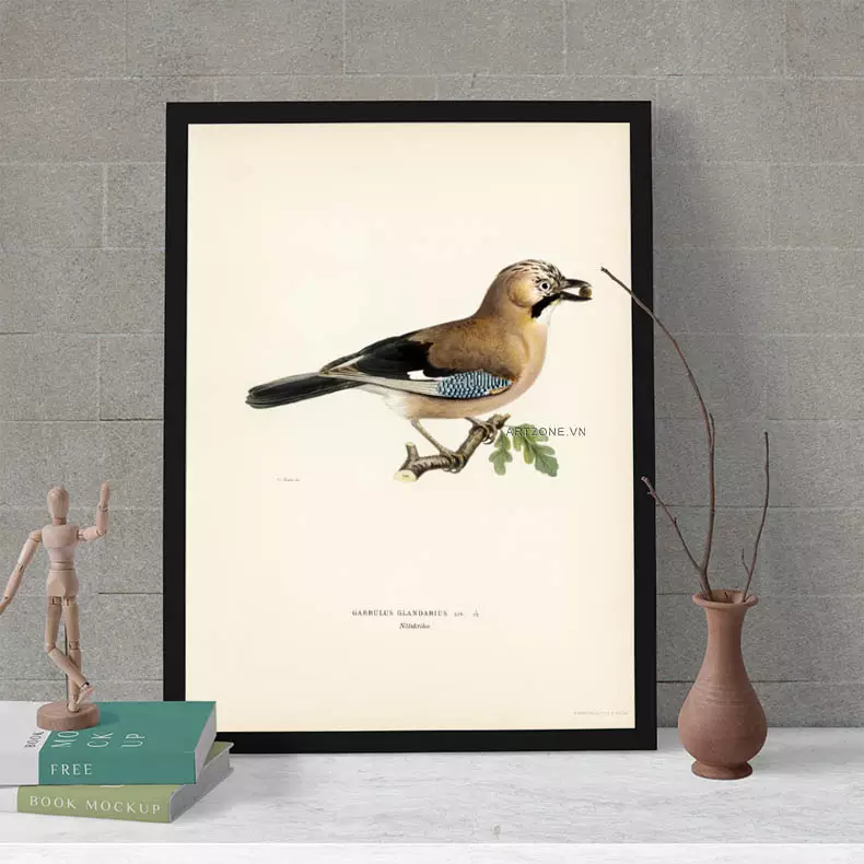 Tổng thể bức tranh chim Jay Garrulus glandarius