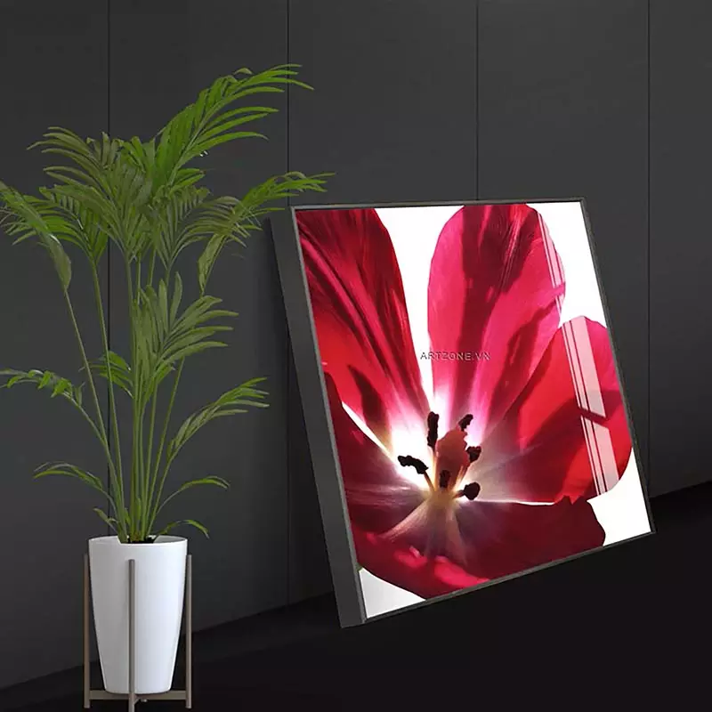 Ánh sáng và bóng đổ từ bức tranh