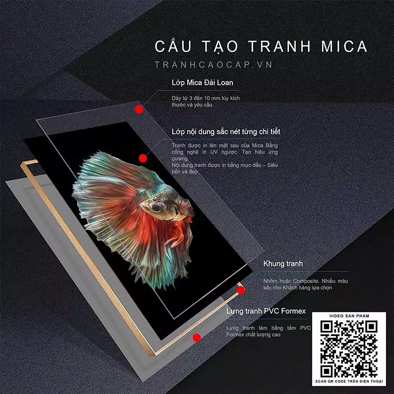 Tranh Mica cao cấp AZ3-0298