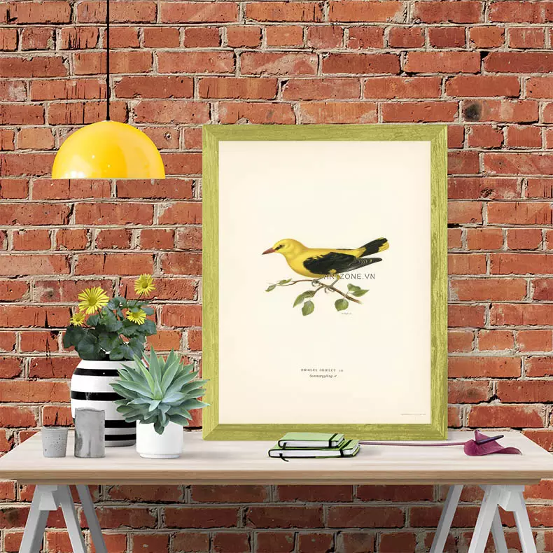 Tranh chim Eurasian Golden Oriole trong phòng khách