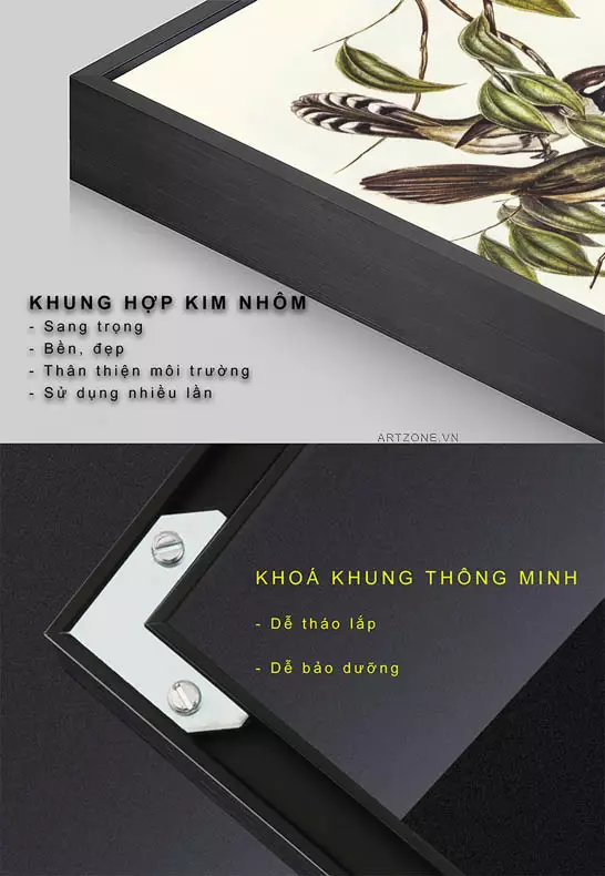 Tranh Chim Sao Elizabeth Gould - Đa dạng kích thước, phù hợp mọi không gian