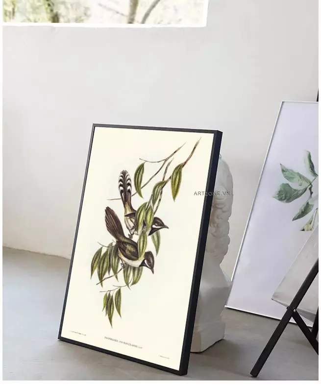 Tranh Chim Sao Elizabeth Gould chất liệu Mica - Bền đẹp, sống động, dễ dàng vệ sinh
