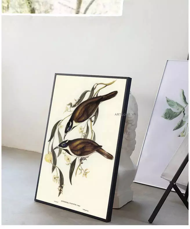 Tranh Blue-faced Entomyza với nhiều kích thước khác nhau