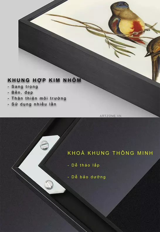 Gợi ý treo tranh chim Crimson-bellied Parakeet trong phòng khách