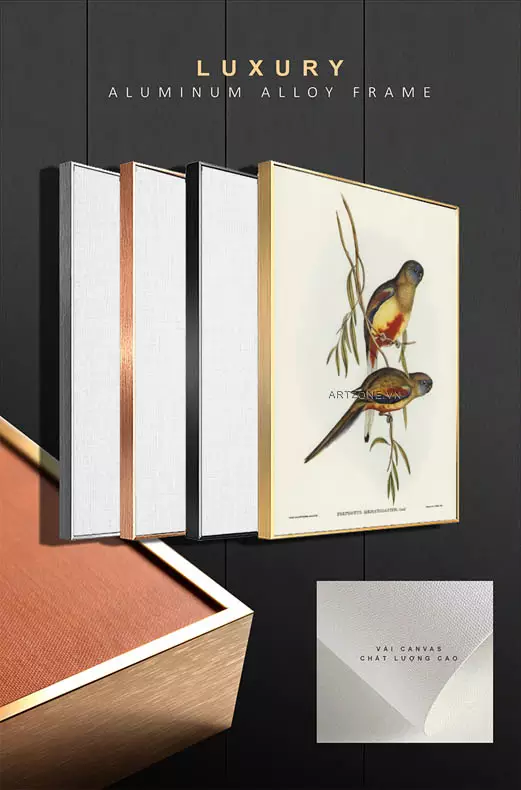 Tranh chim Crimson-bellied Parakeet kết hợp với nội thất hiện đại