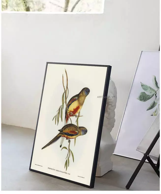 Tranh chim Crimson-bellied Parakeet mang đến không gian sống đẳng cấp