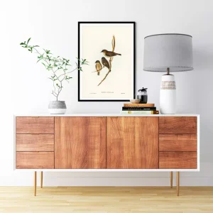 Chim Dusky Robin: Vẻ đẹp hoang dã và thông điệp sâu sắc qua tranh