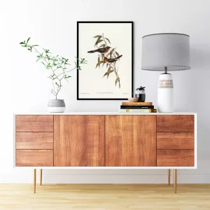 Chim Fronted Flycatcher: Biểu tượng nghệ thuật sâu sắc về thiên nhiên và tự do