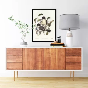 Chim Butcher Bird: Biểu tượng nghệ thuật sâu sắc về sự sống và thiên nhiên