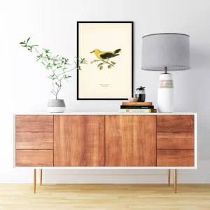 Chim Eurasian Golden Oriole: Biểu Tượng Nghệ Thuật và Thông Điệp Sâu Sắc về Cuộc Sống