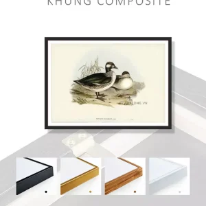 Chim Pygmy Goose trên tranh: Vẻ đẹp tự nhiên và thông điệp bảo tồn sâu sắc