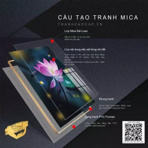 Hoa Sen Tỏa Hương Đêm: Biểu Tượng Vẻ Đẹp và Triết Lý Sâu Sắc