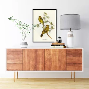 Chim Oriole Crescent Marked: Bản giao hưởng cảm xúc giữa nghệ thuật và thiên nhiên