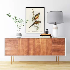 Crimson-bellied Parakeet: Biểu Tượng Hùng Vĩ Của Thiên Nhiên Và Sự Sống Trong Tranh Nghệ Thuật